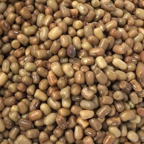 Moth Dal (Turkish Gram)